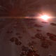 A fleet of supercarriers in mid-warp.
